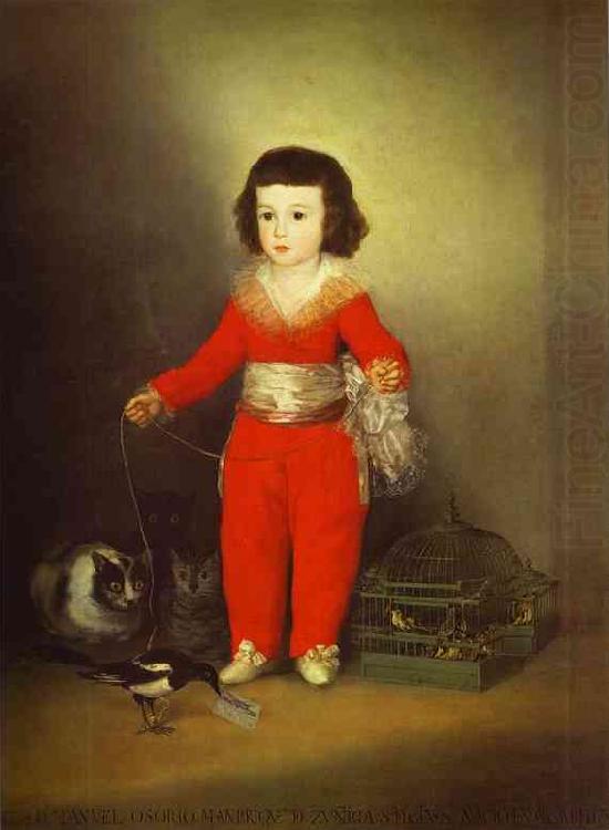 Francisco Jose de Goya Don Manuel Osorio Manrique de Zunica china oil painting image